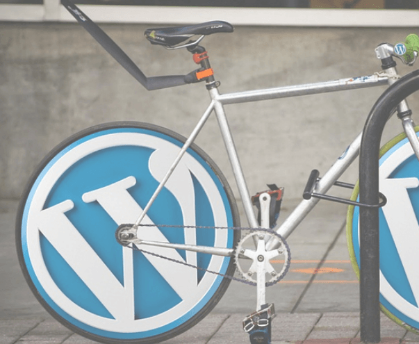 Le référencement naturel WordPress pour les nuls